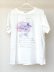 画像1: MAMARLINEセレクト おしゃれTシャツ ピンク L〜LL (1)