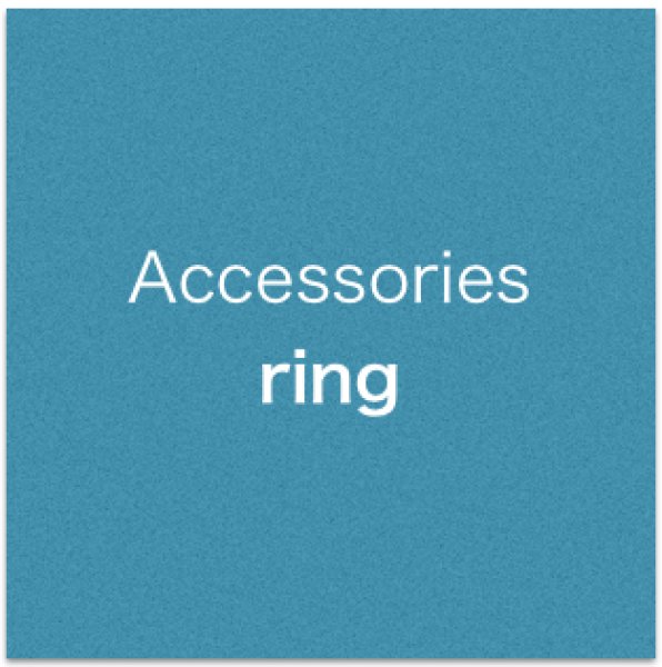 画像1: Accessories ring (1)
